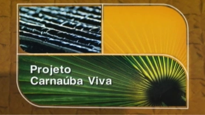Carnauba Viva